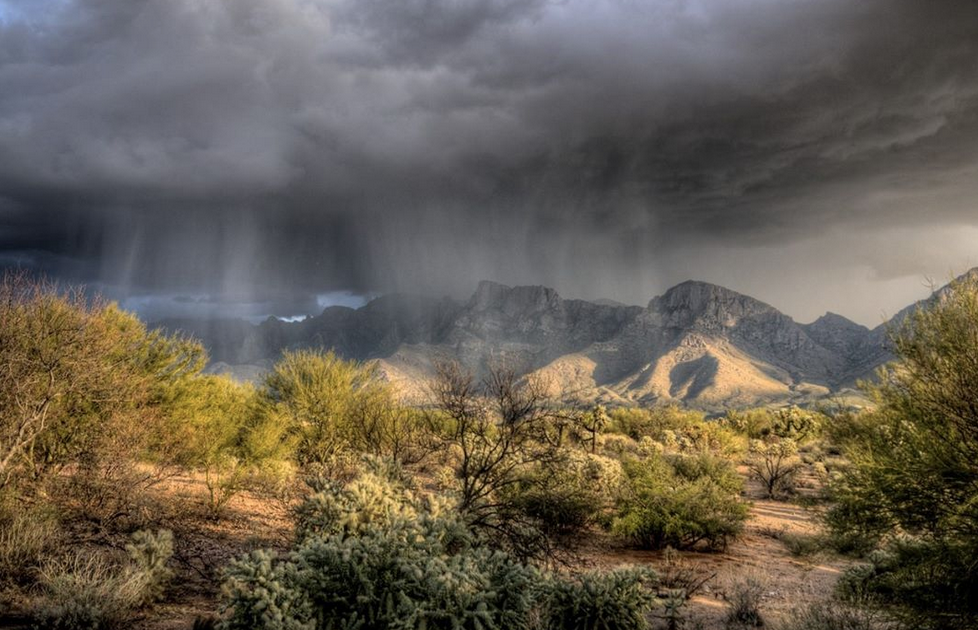 Monsoon Preparedness
