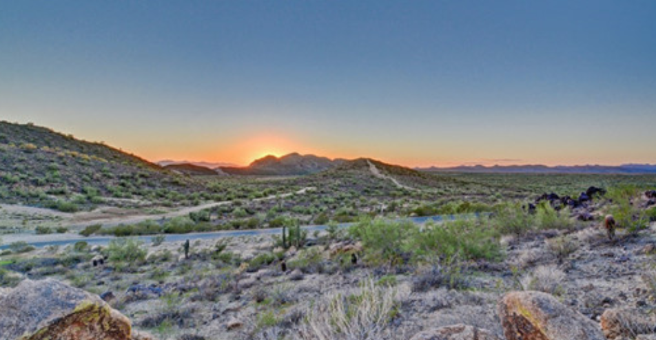 Build Your Custom Home