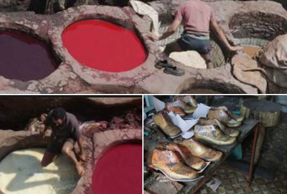 Pigeon Poo in Morocco