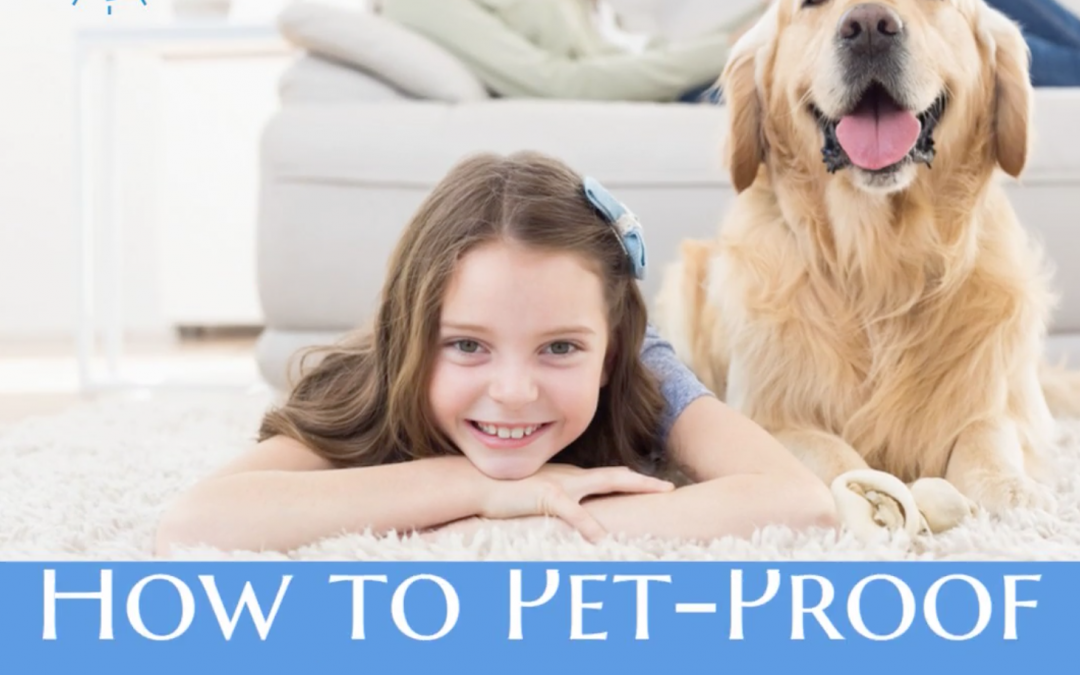 How to Pet-Proof Your Home