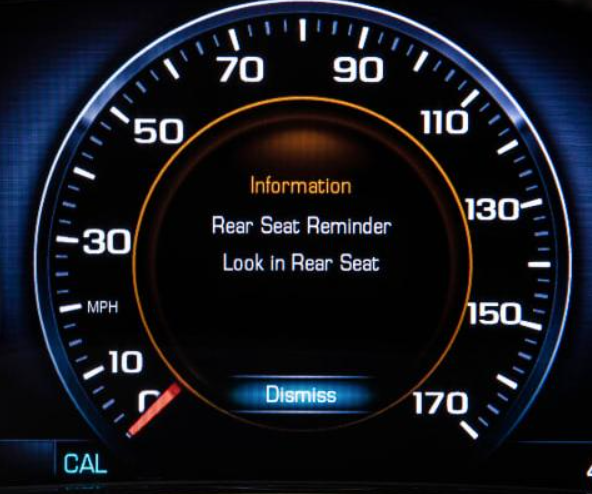 Rear Seat Reminders