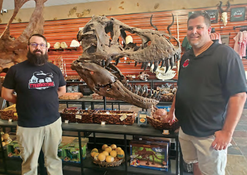 Dinosaur Store Offers Activities for Kids