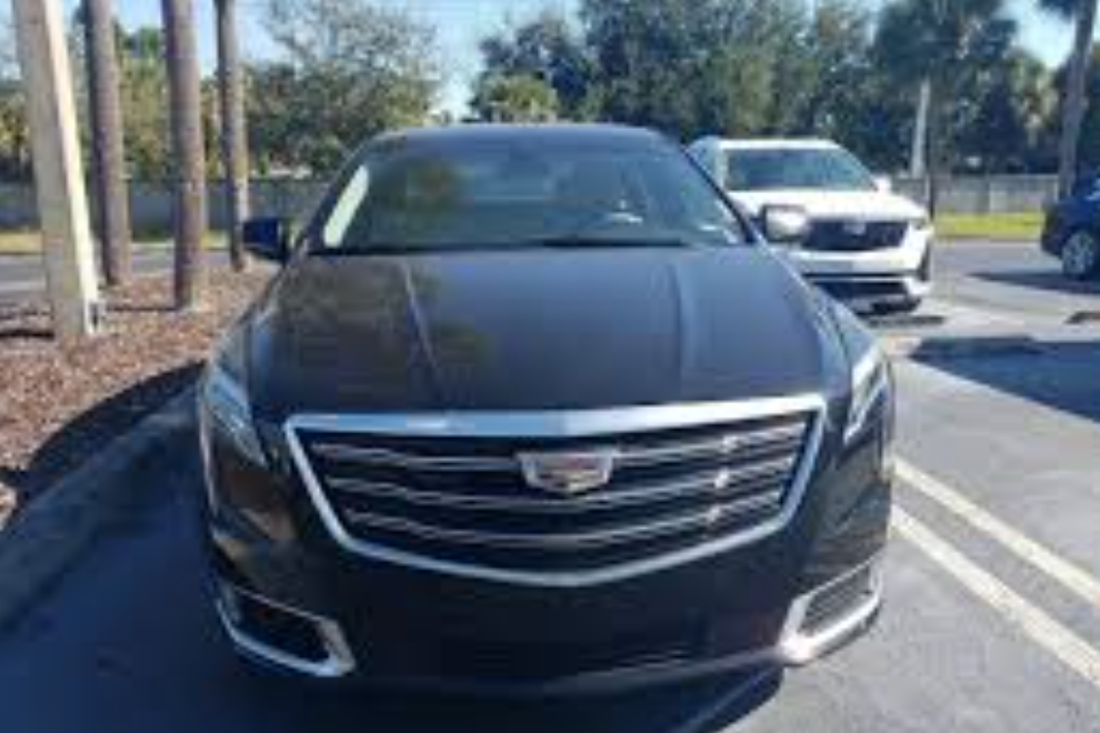 Strange Michigan Law