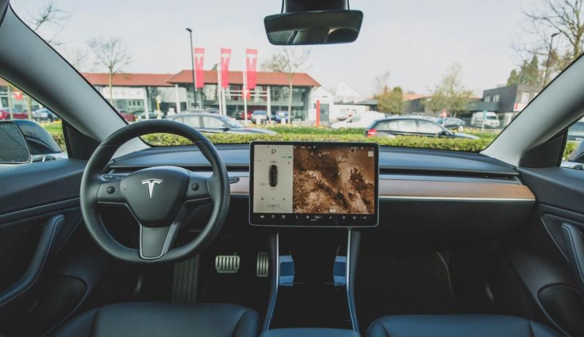 TikTok Finds Tesla Drivers Careless