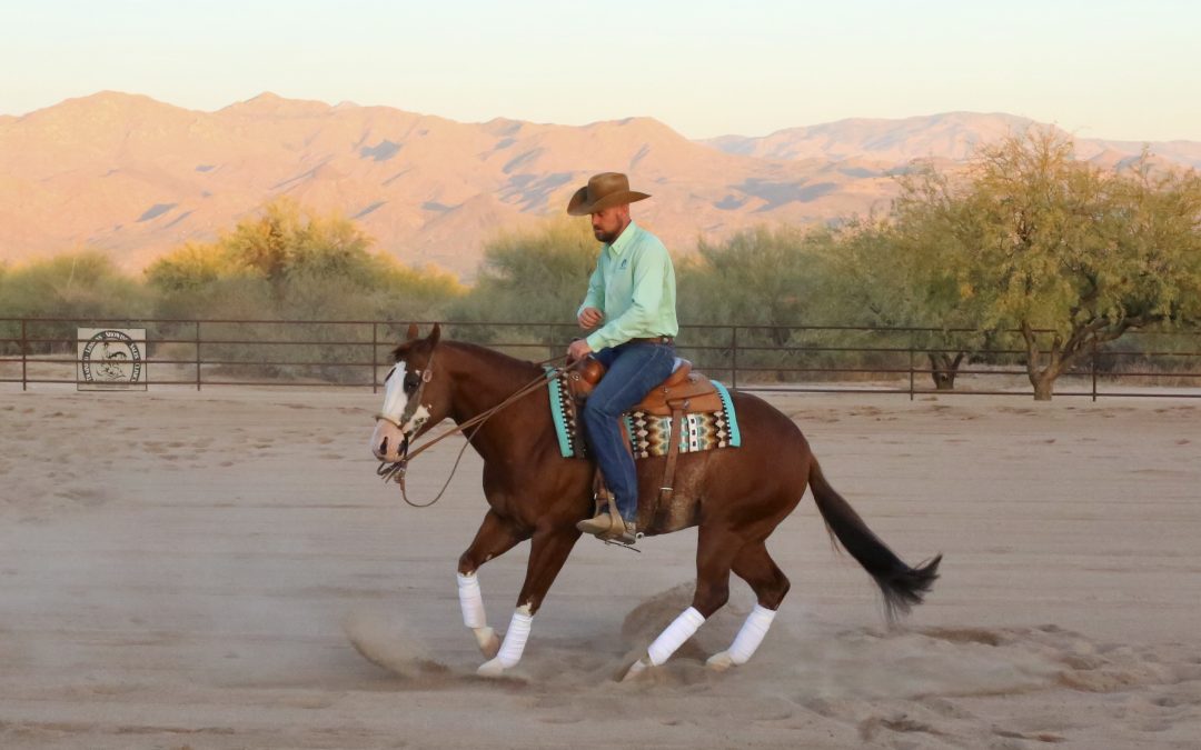 Horse Trainer ‘Reins’ in Equestrian Competition