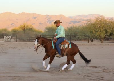 Horse Trainer ‘Reins’ in Equestrian Competition