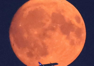 Weekly Email – August 22, 2024