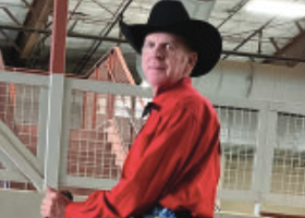 Horse Trainer Specializes in Arabians